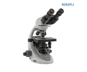 MICROSCOPES